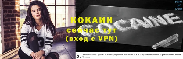 ПСИЛОЦИБИНОВЫЕ ГРИБЫ Пересвет