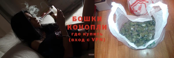 ПСИЛОЦИБИНОВЫЕ ГРИБЫ Пересвет