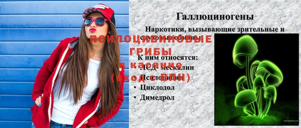 амф Осташков