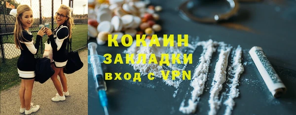 ПСИЛОЦИБИНОВЫЕ ГРИБЫ Пересвет