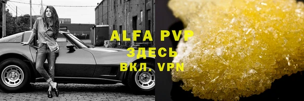 амф Осташков