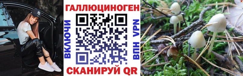 купить  цена  Саки  Псилоцибиновые грибы прущие грибы 